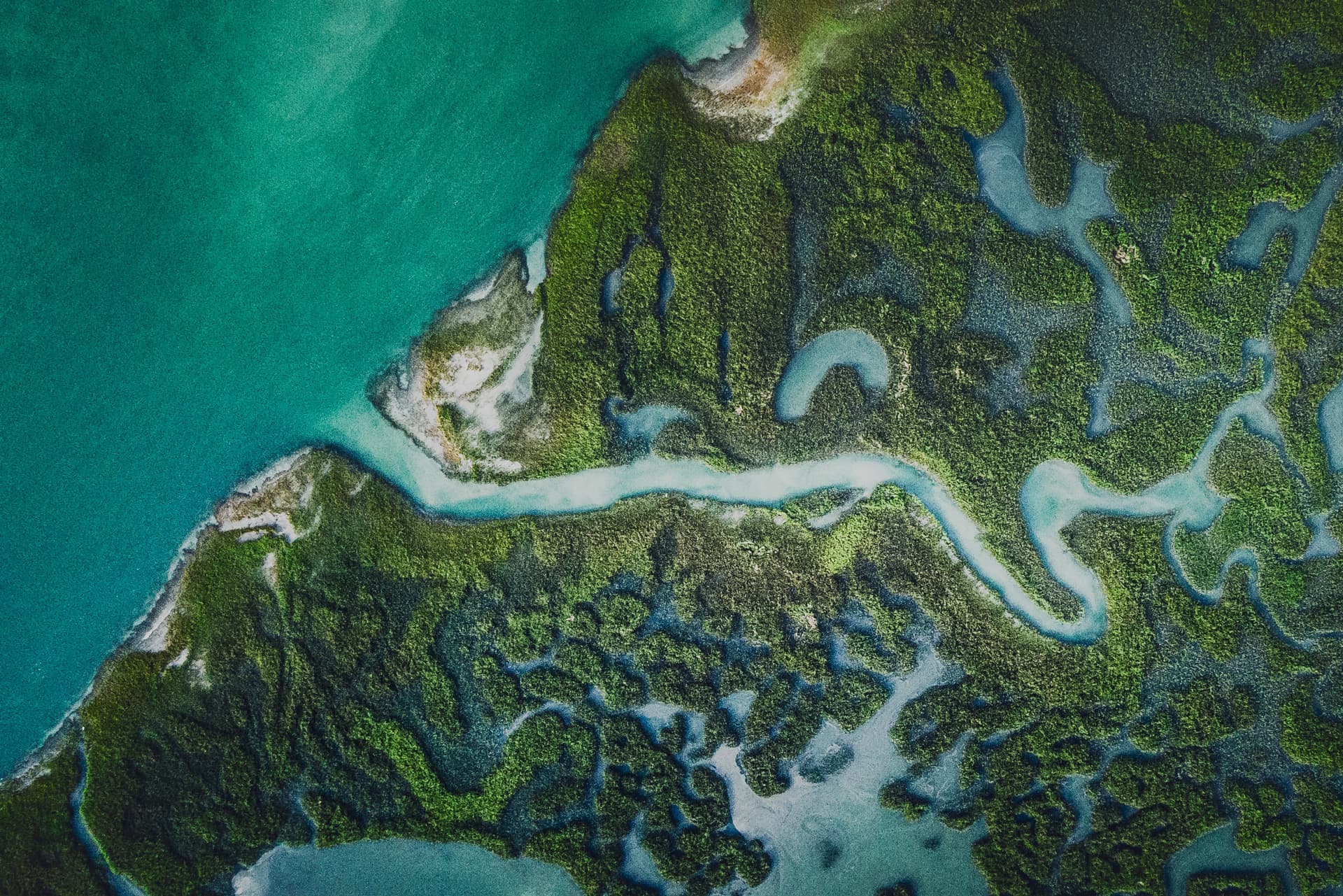 Aerial teal mangrove coastline