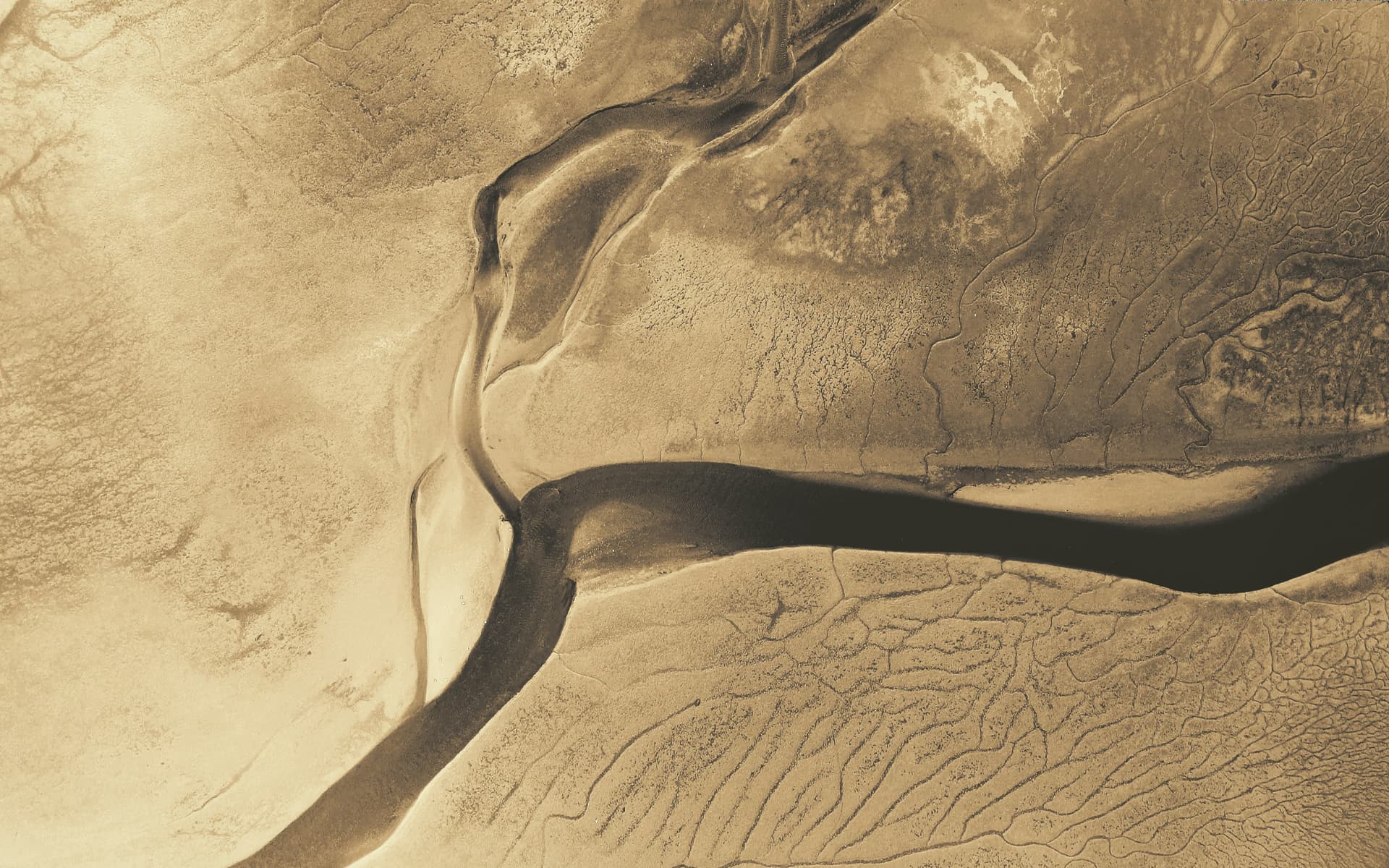 Aerial sepia river delta