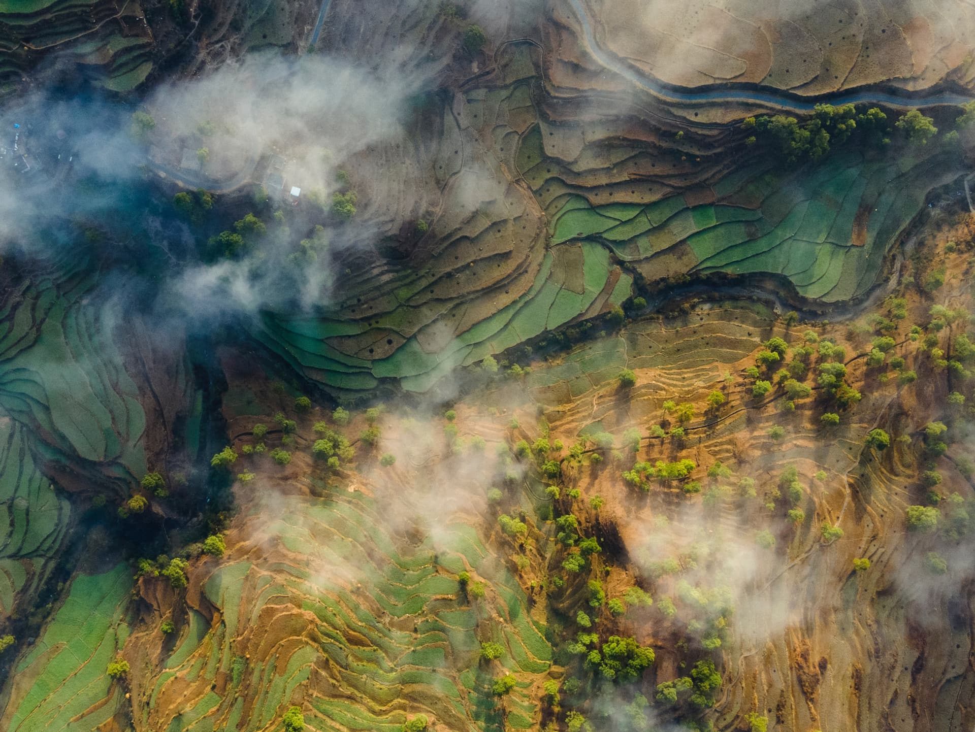 Aerial view of terraced landscape